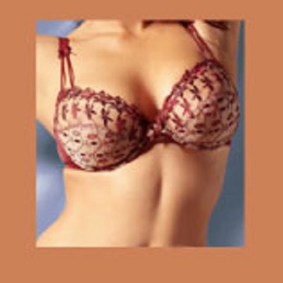Miriale 2-Piece Embroidered Lace Underwire Bra (34A, EU 75A) & Panty (Small) Set - Picture 2 of 3